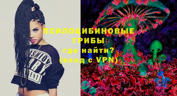 СК Дмитриев