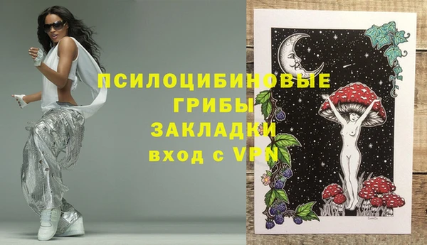 СК Дмитриев